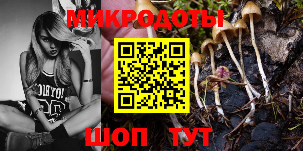 Саратов  где купить наркотик  Вход с VPN  Псилоцибиновые грибы Psilocybe 