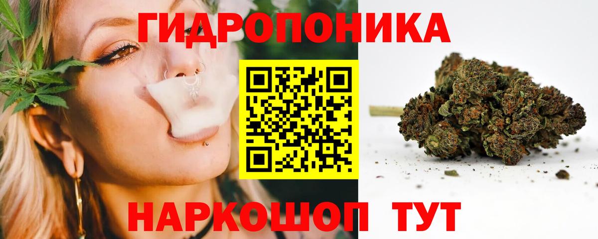 Канабис семена Саратов